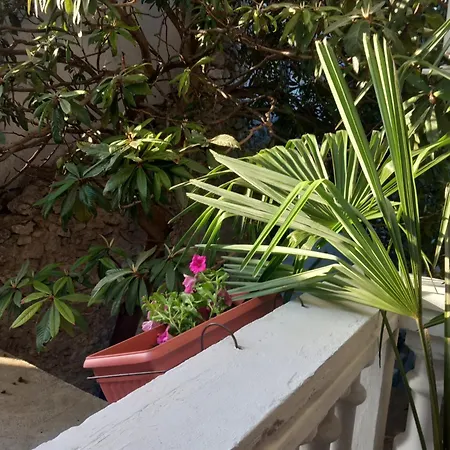 Homestay Harisson 2 *